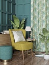 Areca-01 (2).jpg