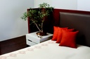 031.shivani Dugar 121