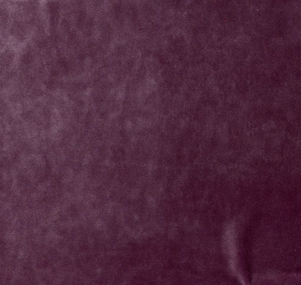 Emilia-20