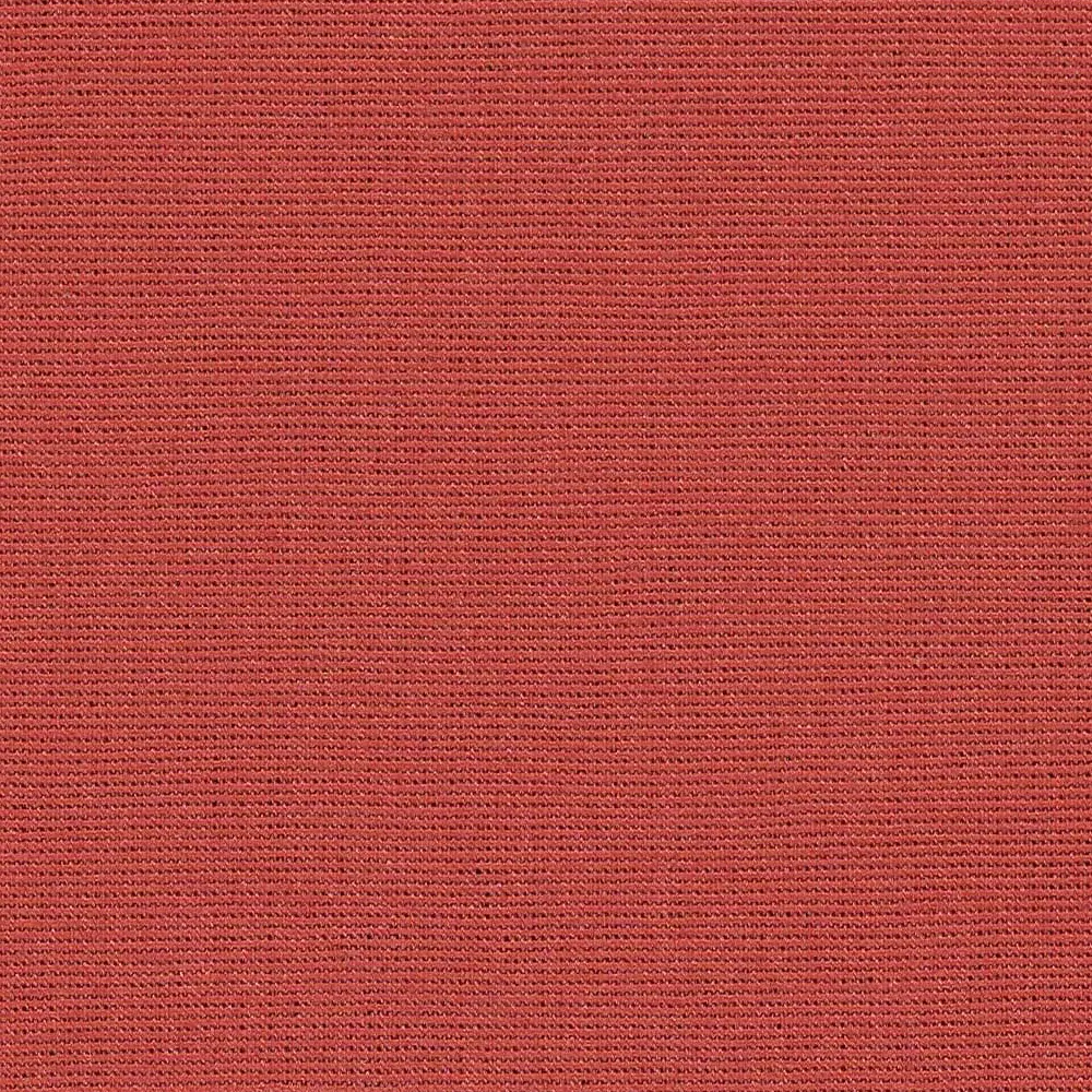 Salma-22