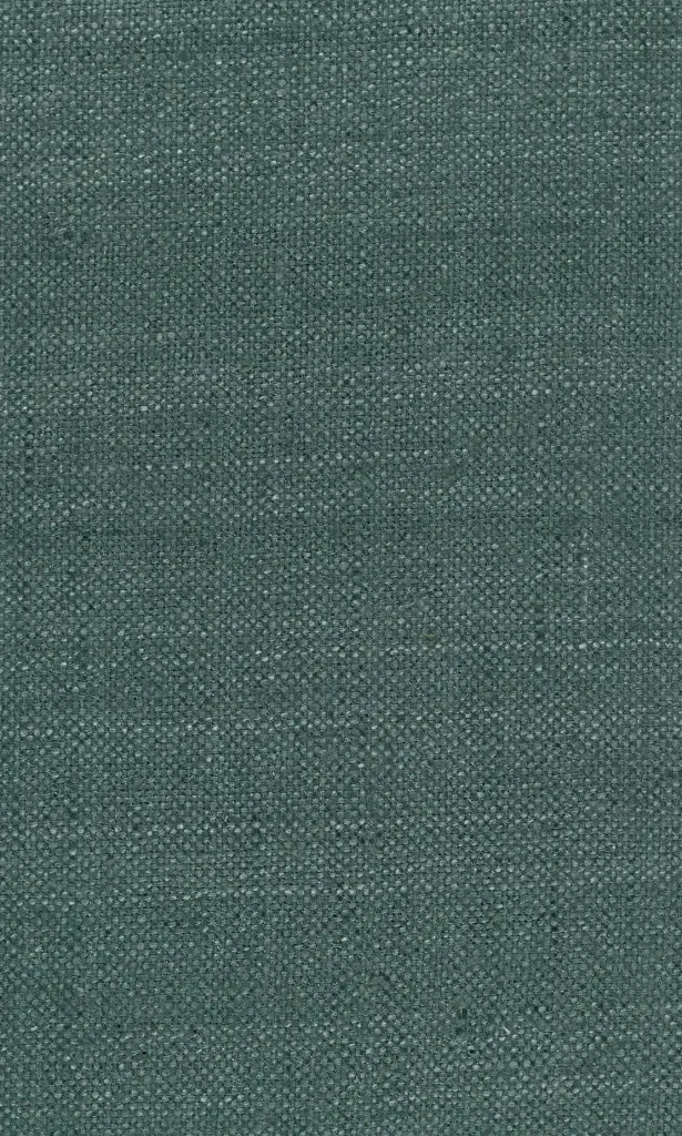 Zinnia-20