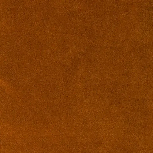 103-REMBRANDT-147