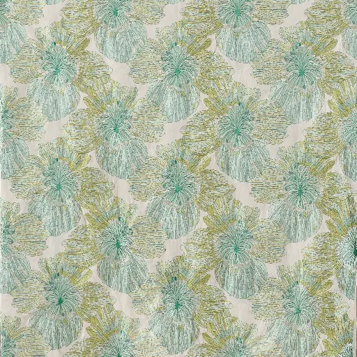 [38134-01] Areca-01