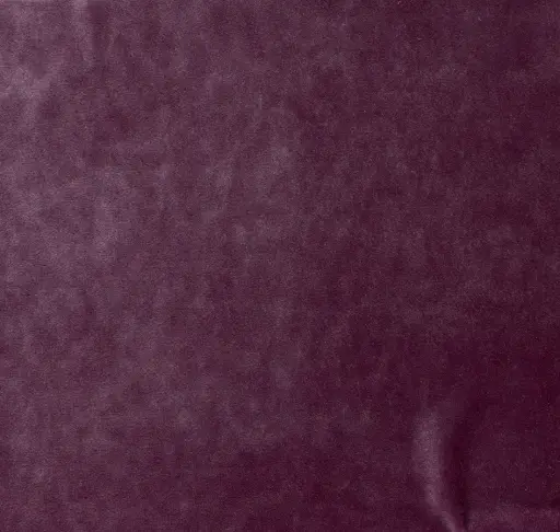 Emilia-20