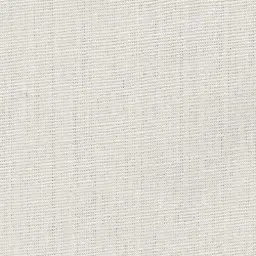 [25221-02] Georgia-02