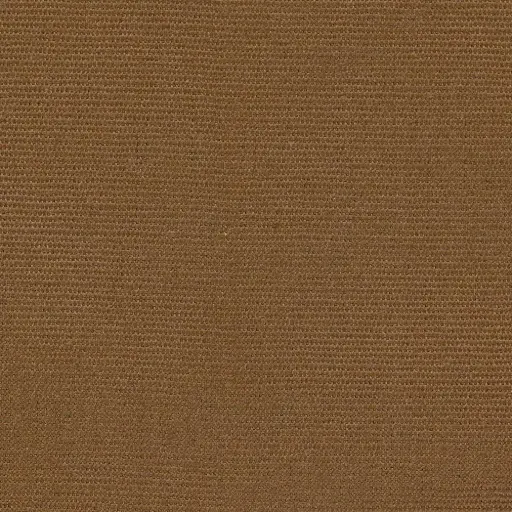 [25221-15] Georgia-15
