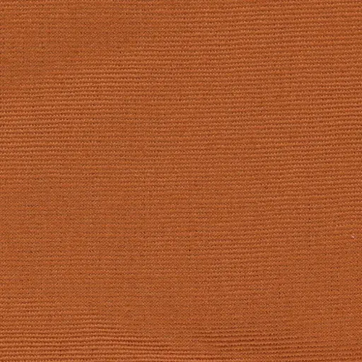 [25221-17] Georgia-17
