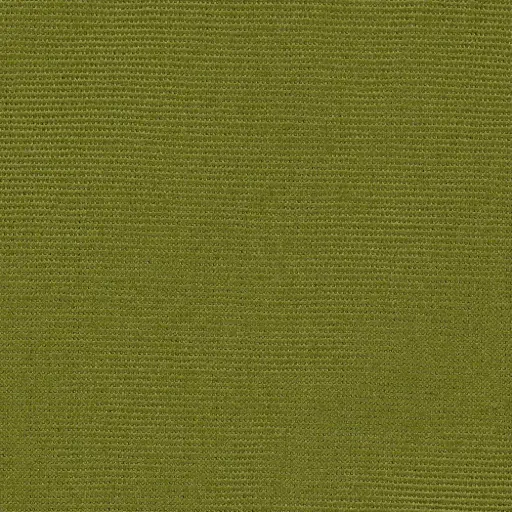 [25221-24] Georgia-24