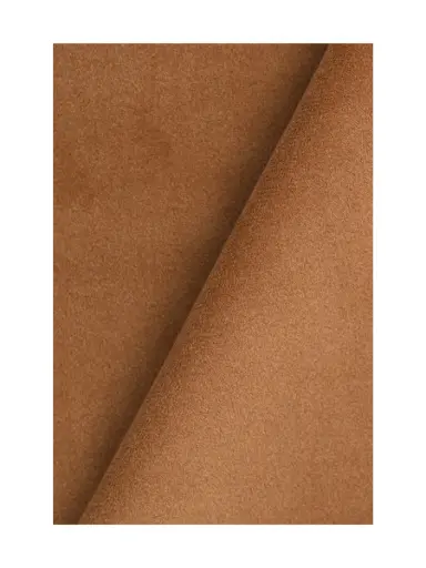 [35802-13] Jaipur-13