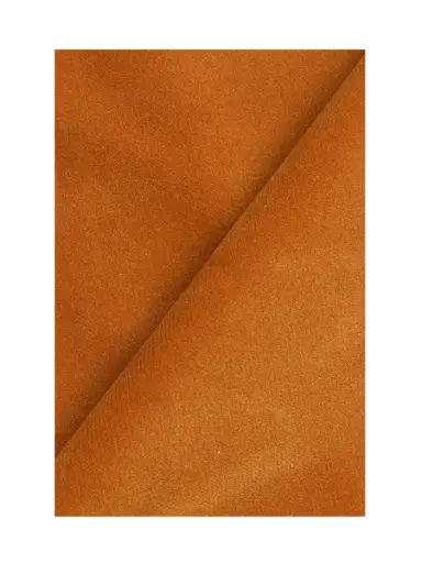 Jaipur-26