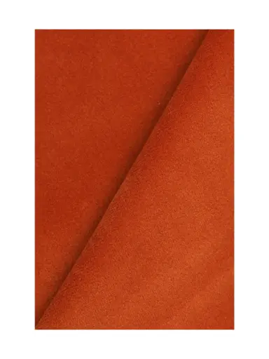 Jaipur-27