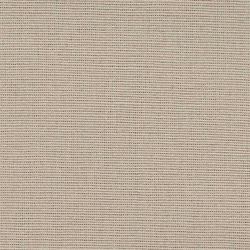 [25568-12] Loneta-12