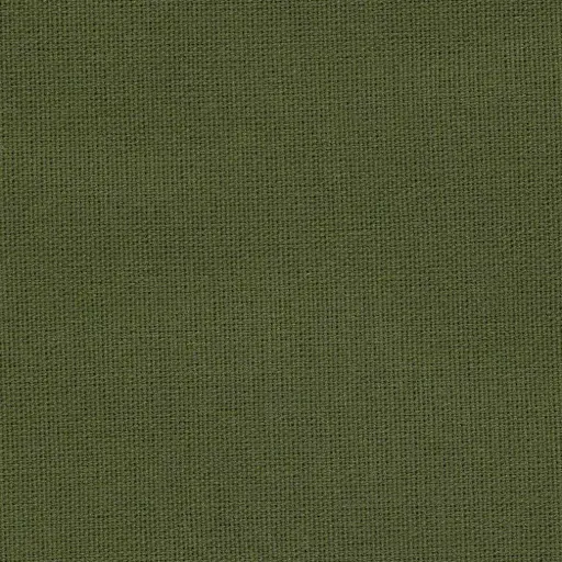 Salma-04