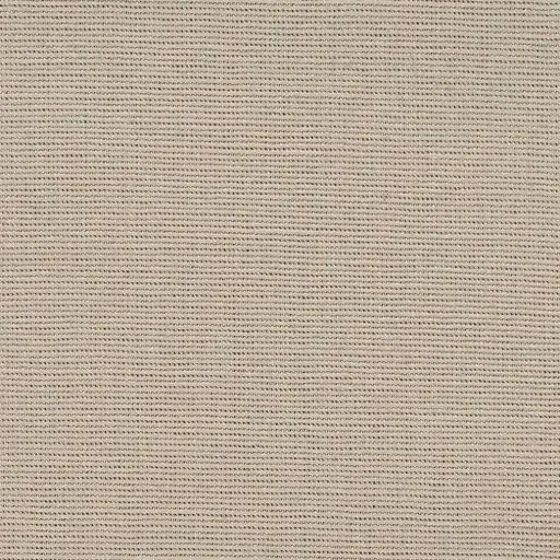 [25569-12] Salma-12