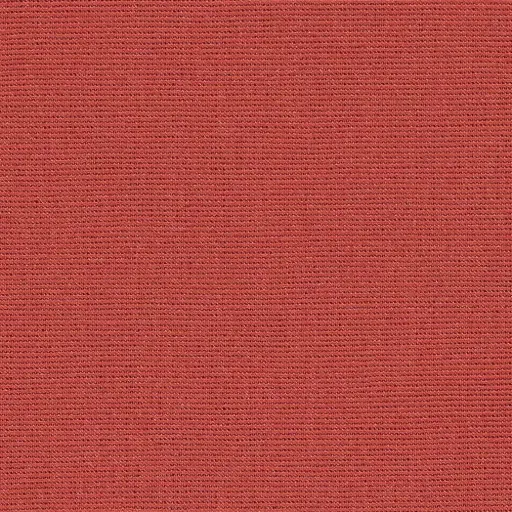 [25569-22] Salma-22
