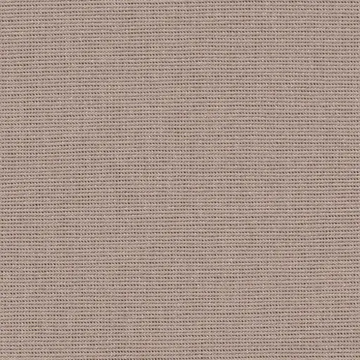 [25569-23] Salma-23