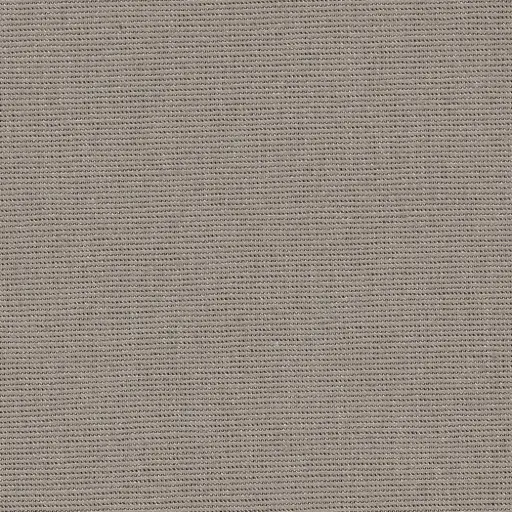 [25569-56] Salma-56