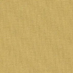 [25569-60] Salma-60