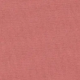 [25569-72] Salma-72