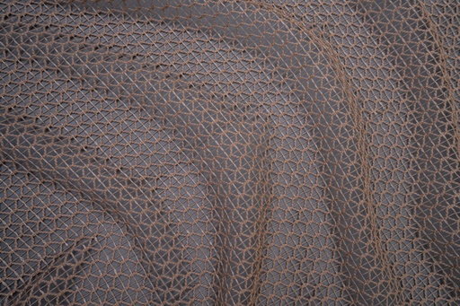 Tiger-04