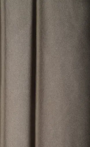 ZARA-173