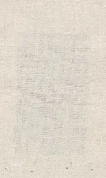 [25728-01] Zinnia-01