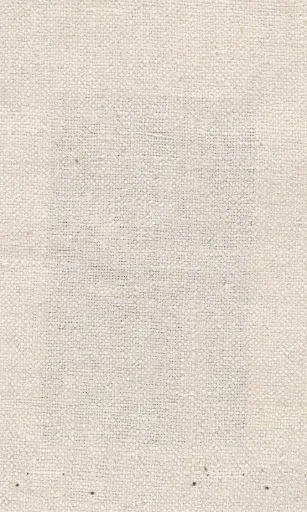 [25728-01] Zinnia-01