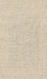 [25728-02] Zinnia-02