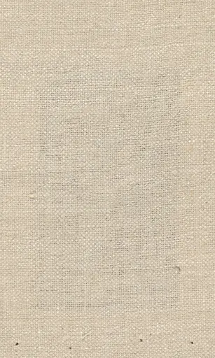 [25728-02] Zinnia-02