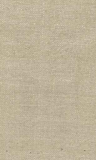 [25728-04] Zinnia-04