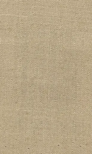 [25728-05] Zinnia-05