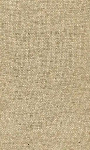 [25728-06] Zinnia-06
