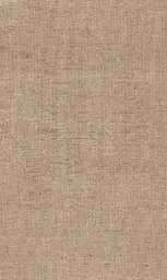 [25728-08] Zinnia-08