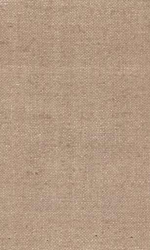 [25728-08] Zinnia-08