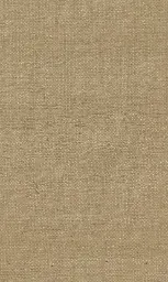 [25728-09] Zinnia-09