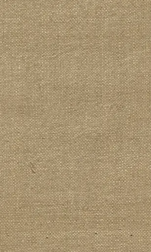 [25728-09] Zinnia-09