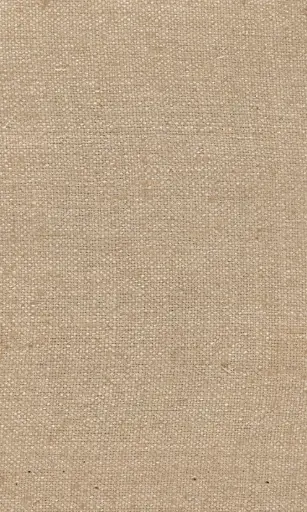 [25728-10] Zinnia-10