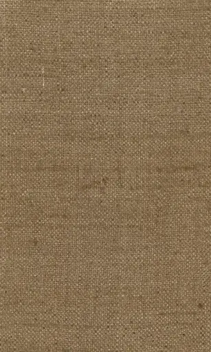 [25728-12] Zinnia-12