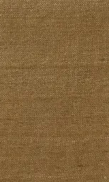 [25728-13] Zinnia-13