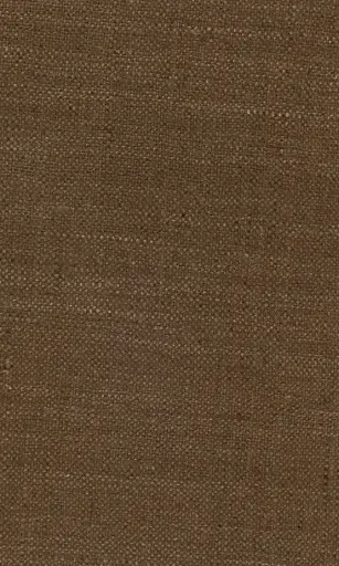 [25728-14] Zinnia-14