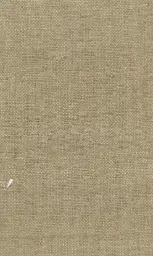 [25728-15] Zinnia-15
