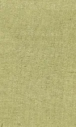 [25728-16] Zinnia-16