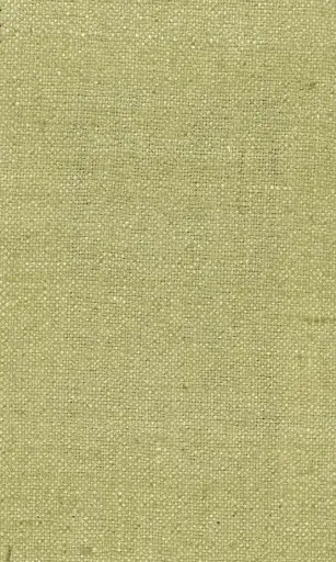 [25728-16] Zinnia-16