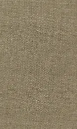 [25728-17] Zinnia-17