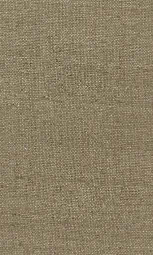 [25728-17] Zinnia-17