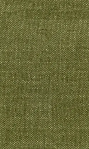 [25728-18] Zinnia-18