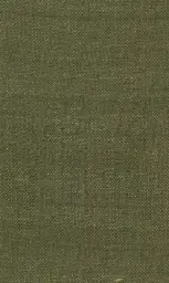 [25728-19] Zinnia-19