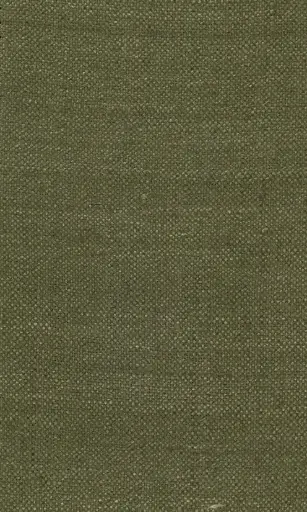 [25728-19] Zinnia-19