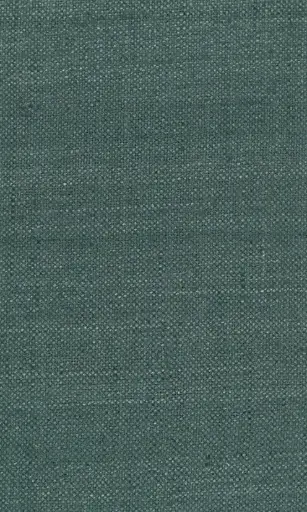Zinnia-20