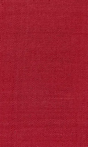 Zinnia-25